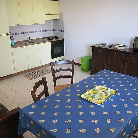 Type A Brucoli